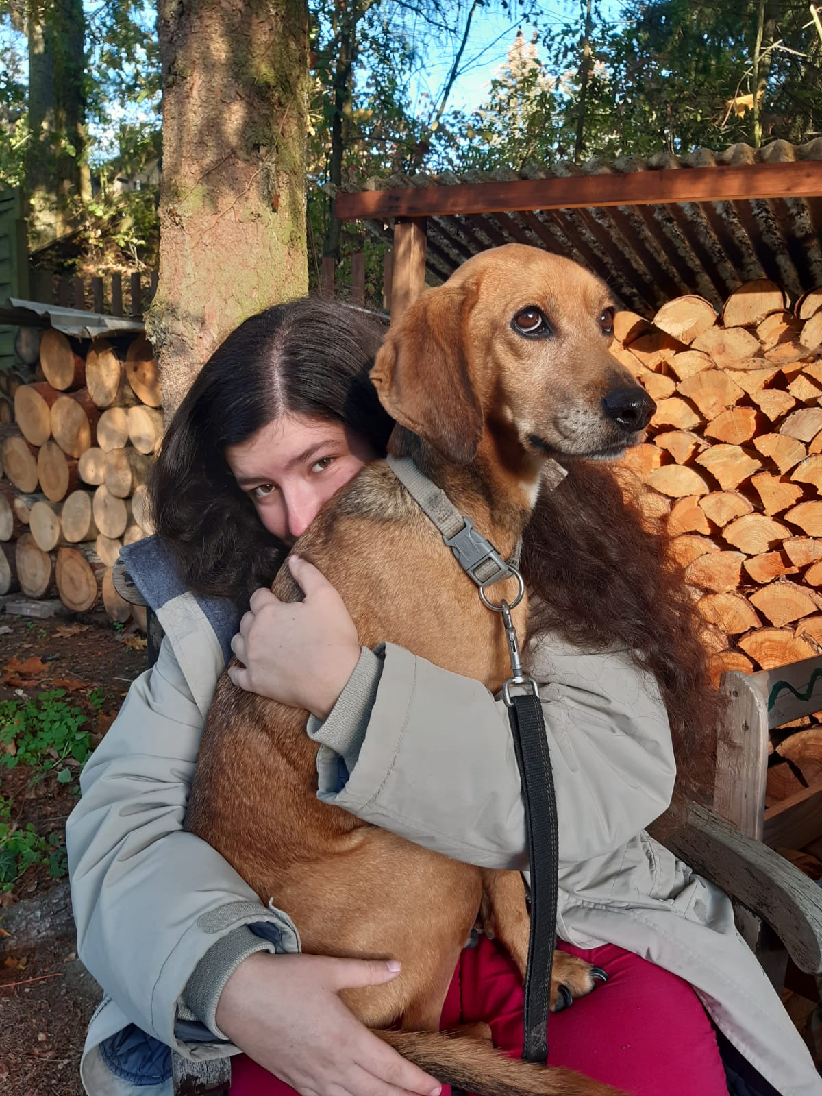 image from Das Mädchen und der Hund
