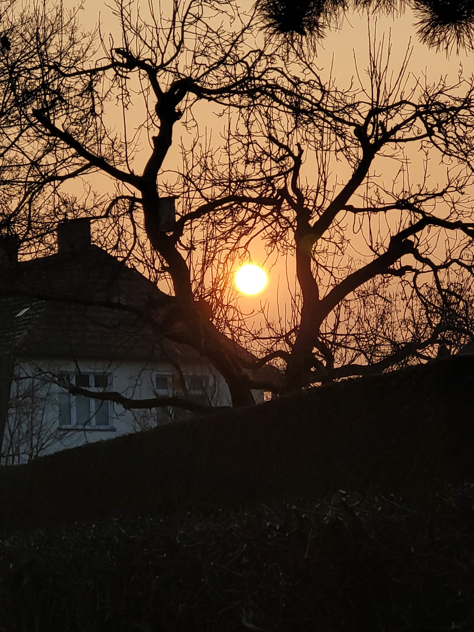 image from Die Erde ist ein Schulhaus