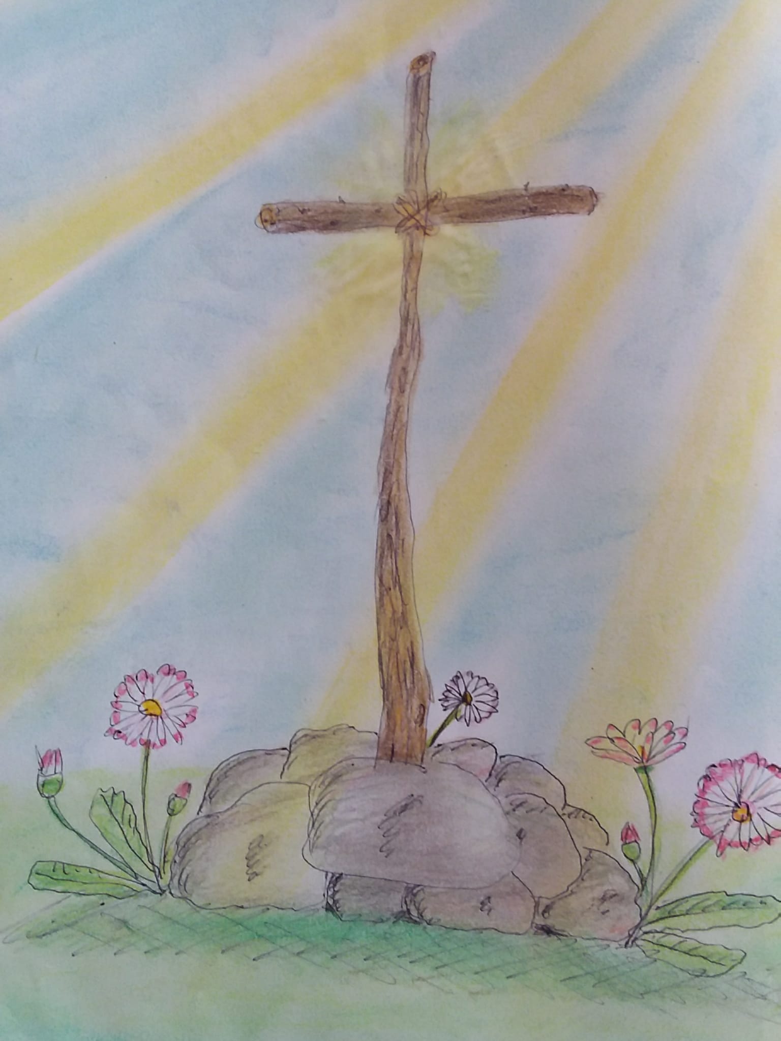 image from Gänseblümchenkreuz
