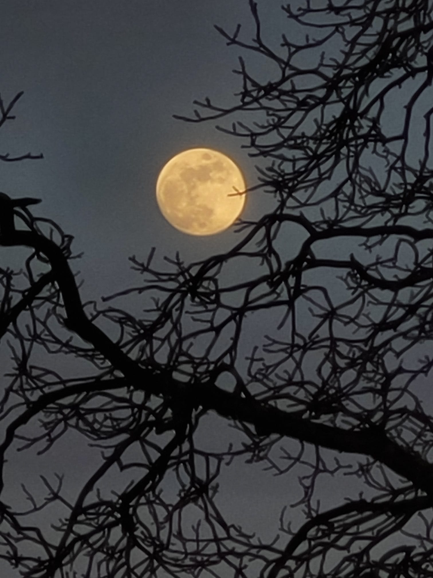 image from Mondbilder