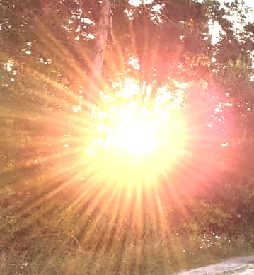 image from Das Wahrheitslicht