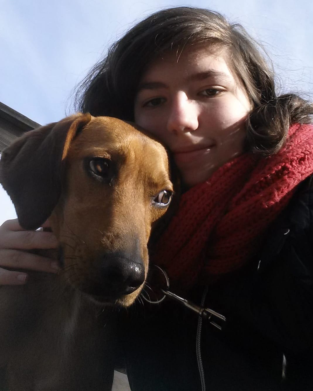 Hund